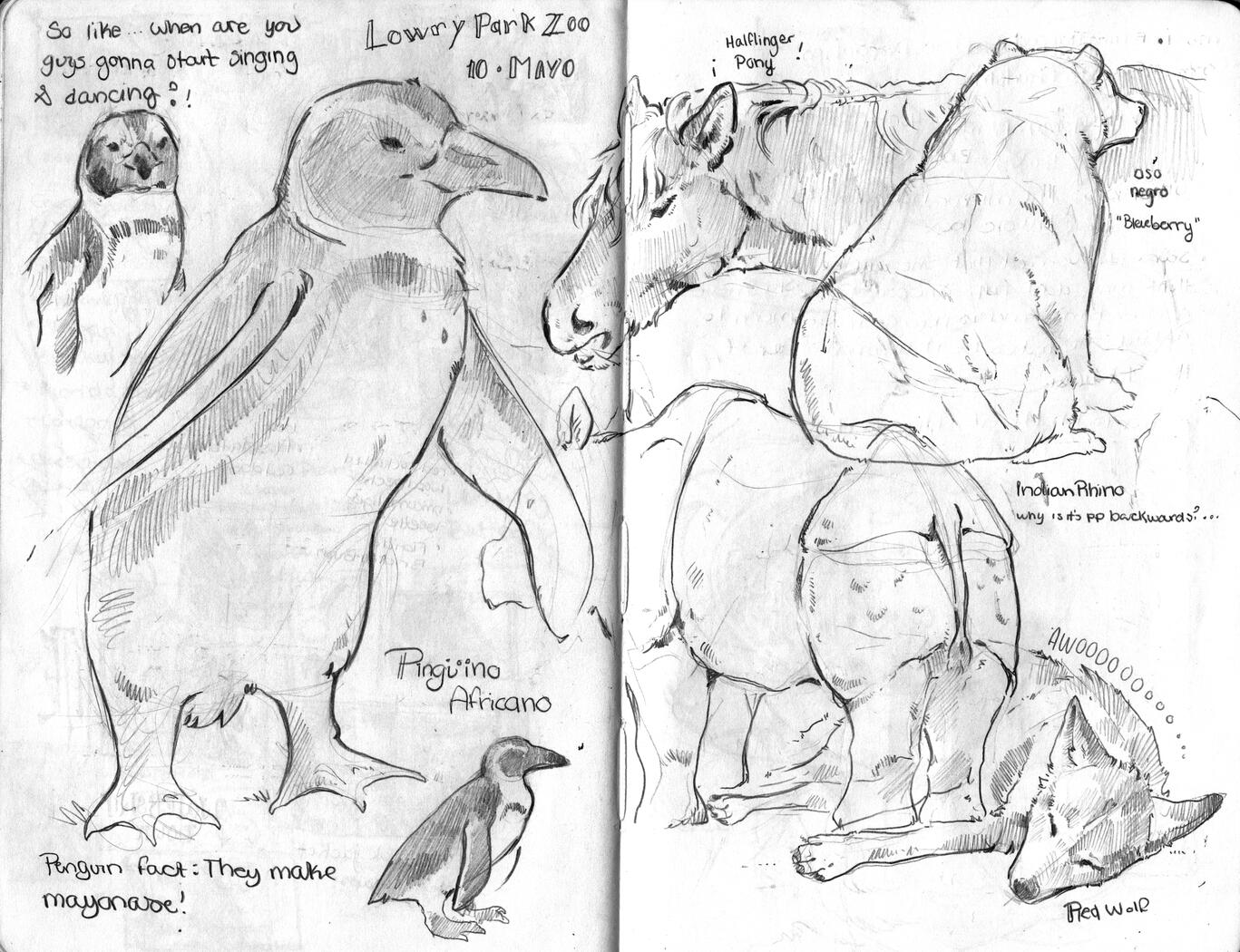 Sketchbook Spread