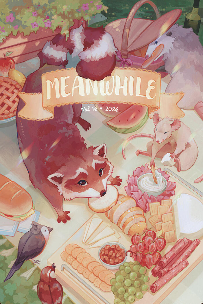 Meanwhile Cover